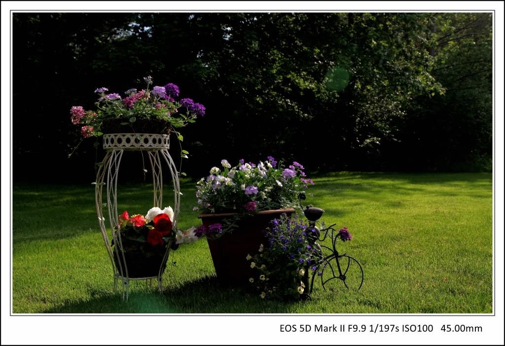 科学网 种花的季节又到了 余昕的博文