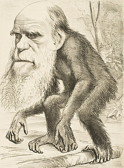 Editorial_cartoon_depicting_Charles_Darwin_as_an_ape_(1871).jpg